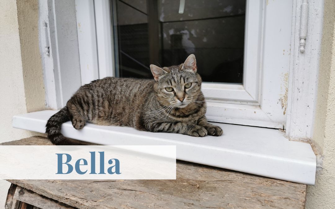 Bella