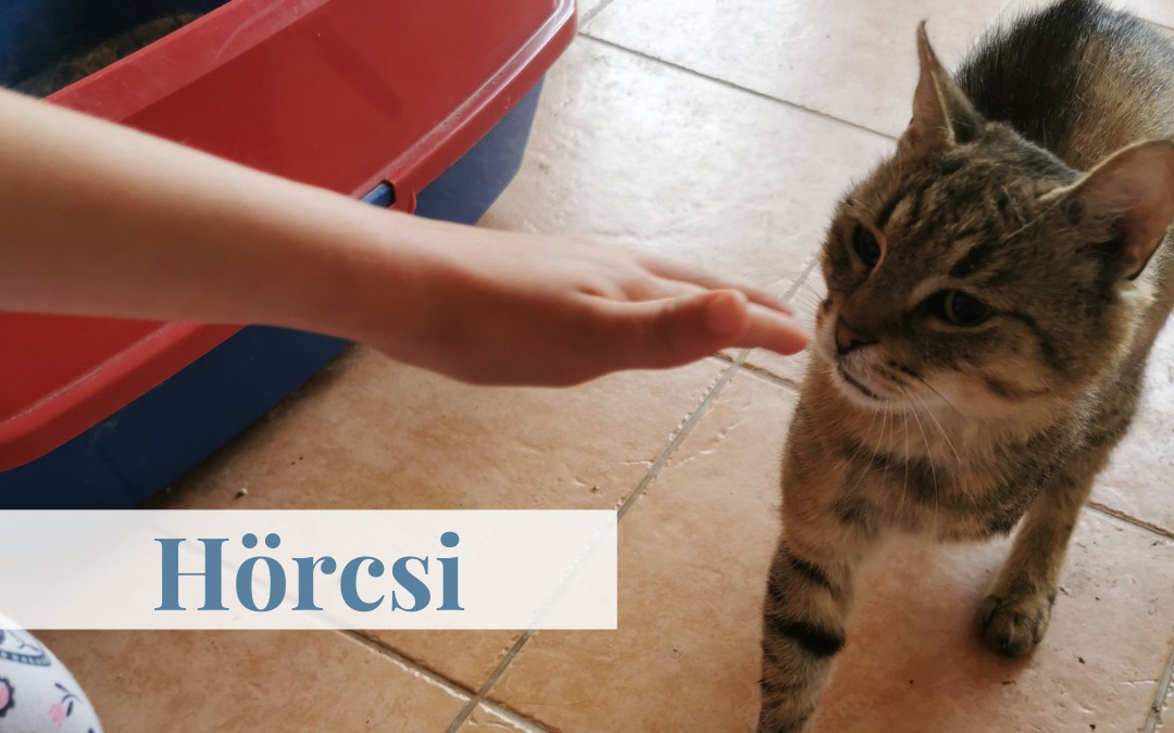 Hörcsi
